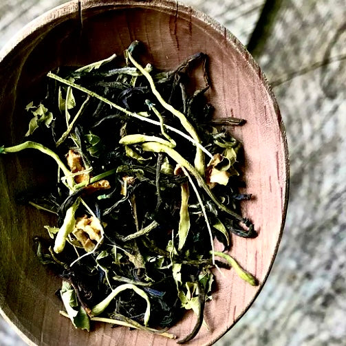 TENNESSEE HONEYSUCKLE