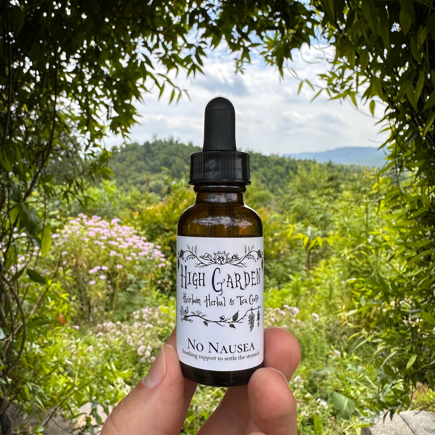 NO NAUSEA tincture