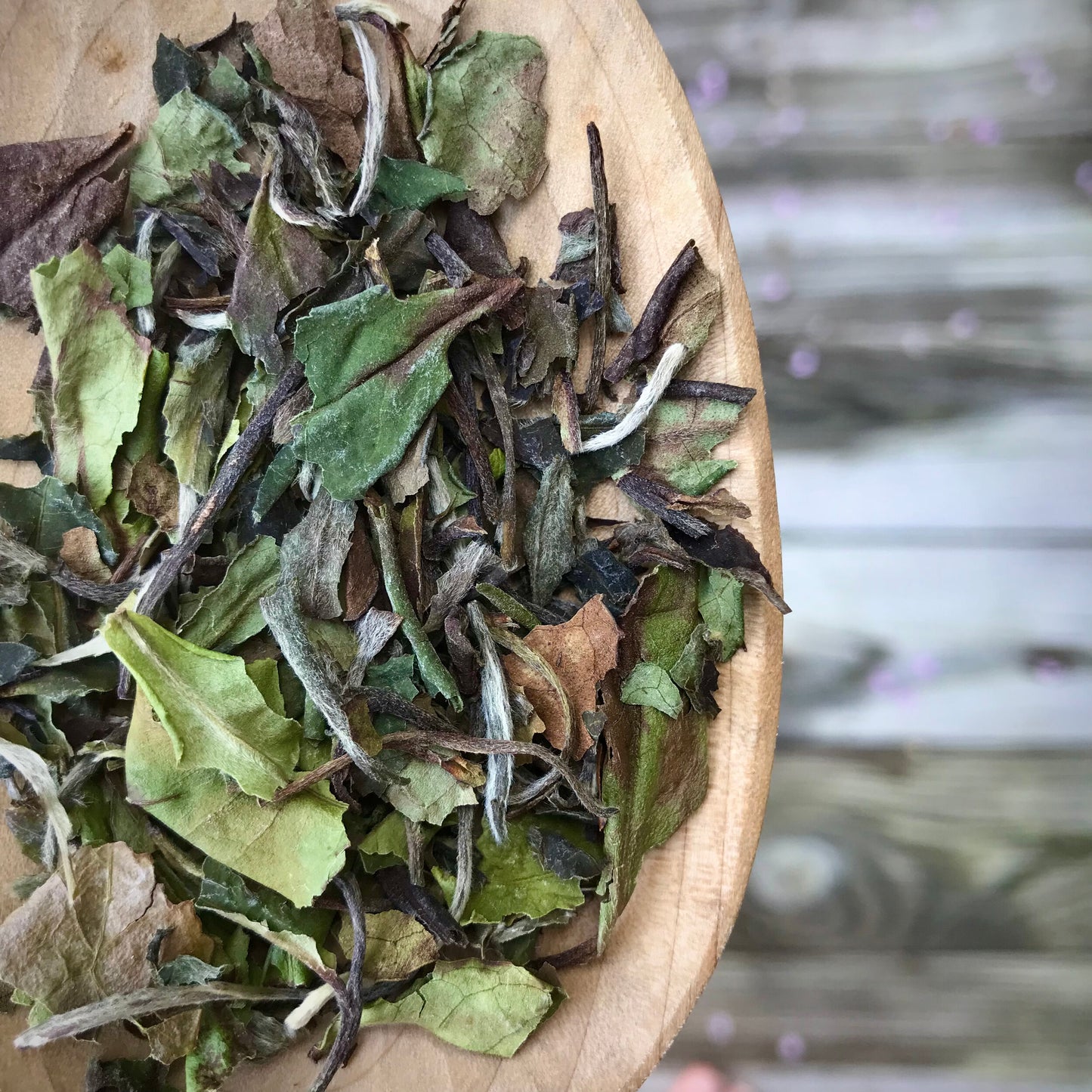 MUDAN "White Peony" ORGANIC