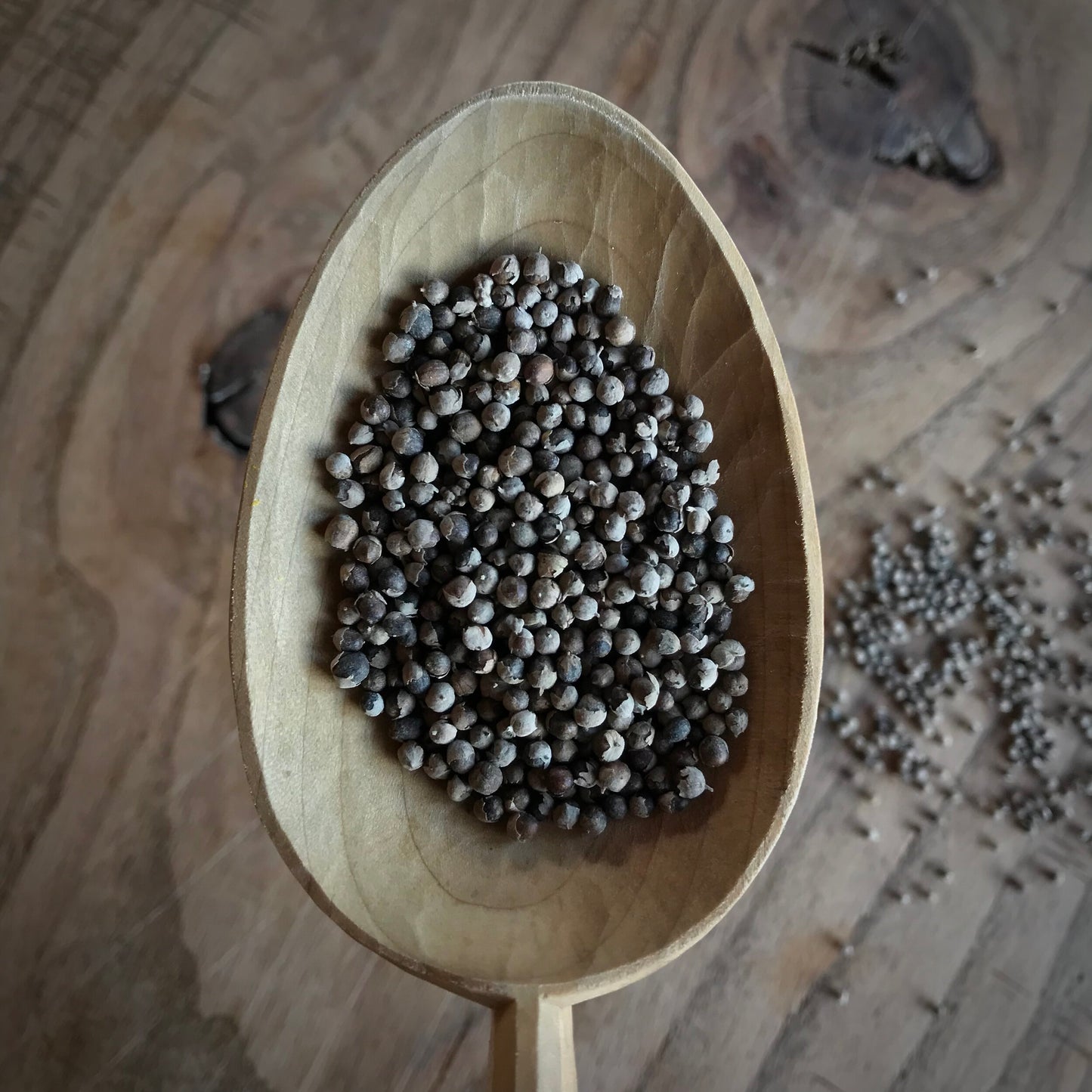 Simply Vitex Berries {2oz}