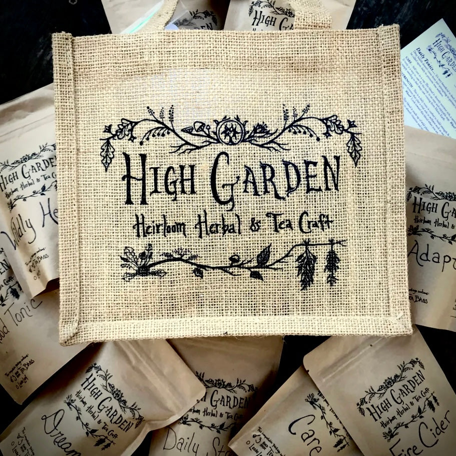 BE WELL BAG (foundational wellness kit)