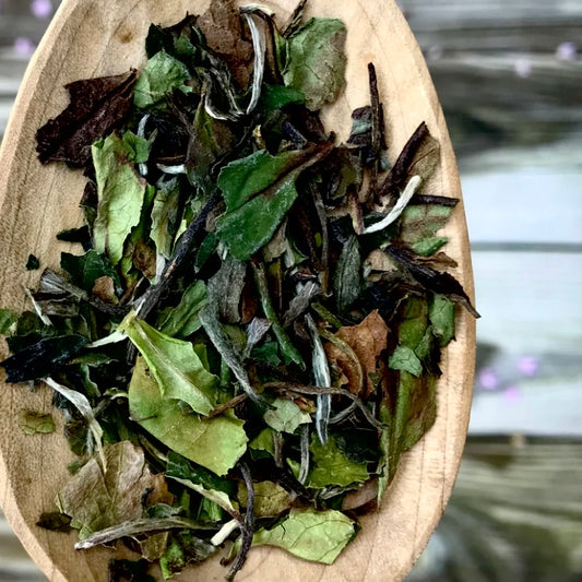 MUDAN "White Peony" ORGANIC