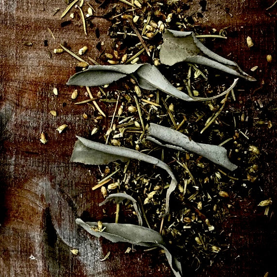 SINUS STEAM
