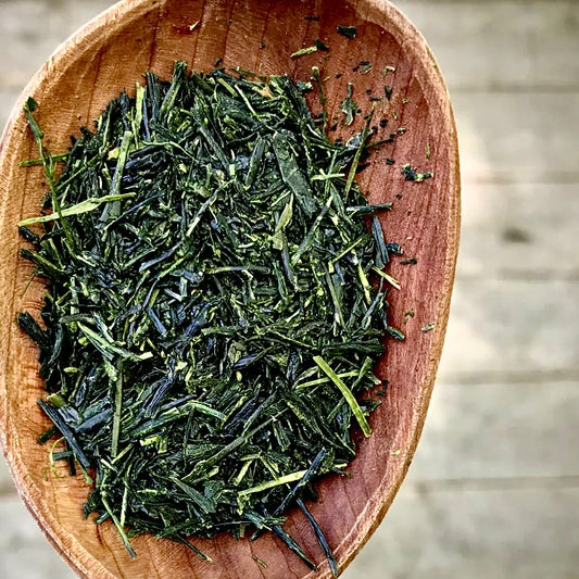 SENCHA SUPERIOR