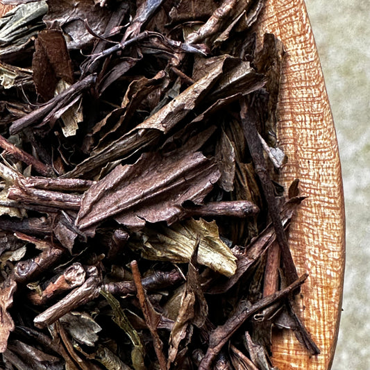 HOUJICHA ORGANIC