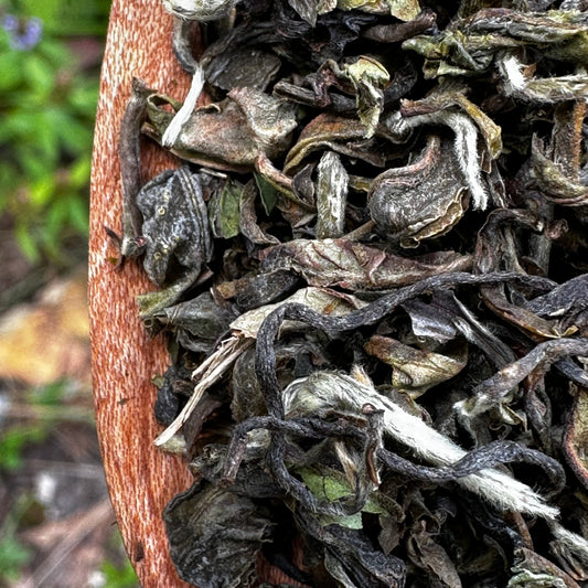 HIMALAYAN HONEY ORGANIC