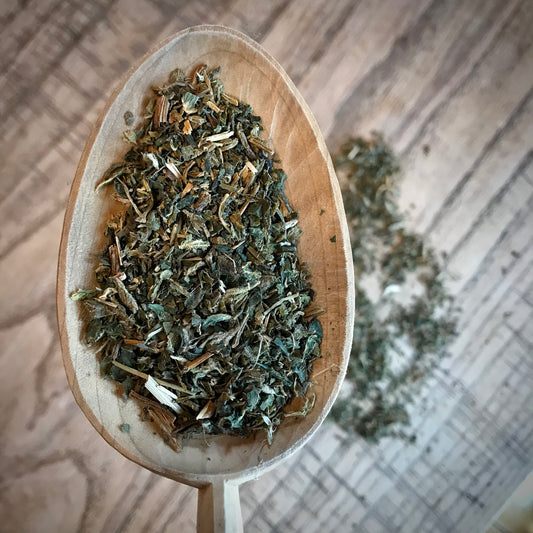 Simply Stinging Nettle {2oz}